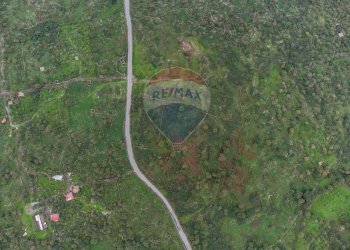 Posizione della mappa - Terreno agricolo CONTRADA NEMMI TORRE GUARINO
 
SNC, Castiglione di Sicilia - foto 12