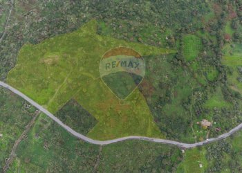 Posizione della mappa - Terreno agricolo CONTRADA NEMMI TORRE GUARINO
 
SNC, Castiglione di Sicilia - foto 17