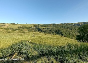 Foto 4 - Independent house Contrada Salegnano, Falerone - photo 4