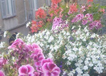 Foto 10 - Bilocale Via Lambertenghi
 
4, Como - foto 10