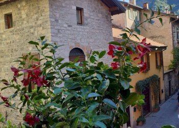 Foto 11 - Bilocale Via Lambertenghi
 
4, Como - foto 11