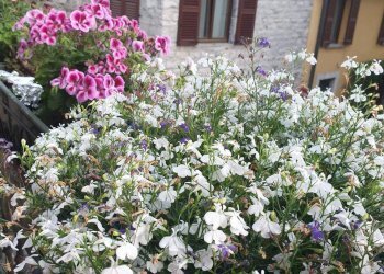 Foto 15 - Appartamento Via giovio, Como - foto 15