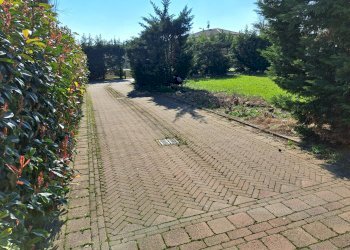 Foto 6 - Casa semi indipendente Via Cadriano
 
11-2, Bologna - foto 6