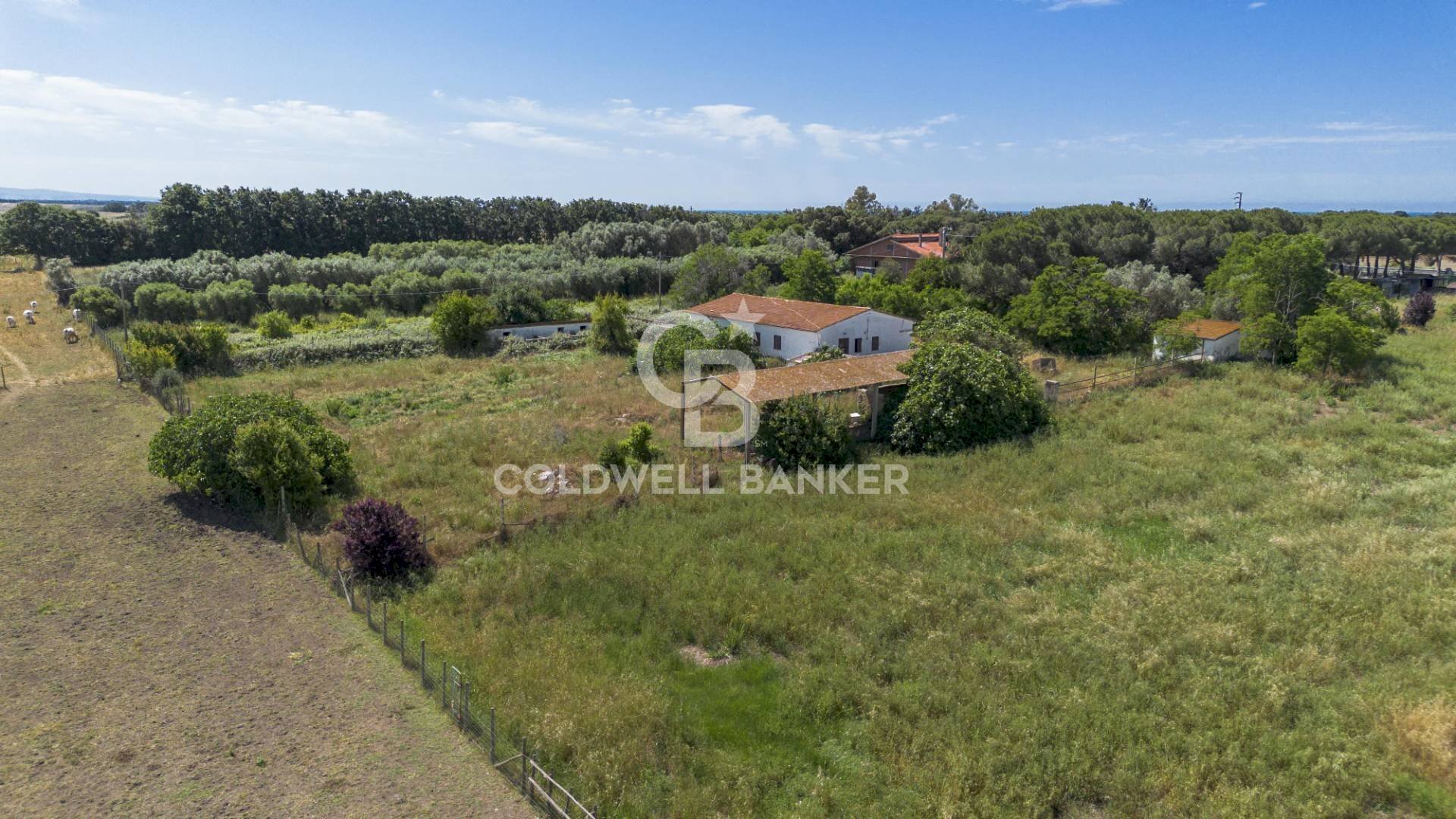 Foto 3 - Villa Località Campomorto
 
0, Montalto di Castro - photo 3