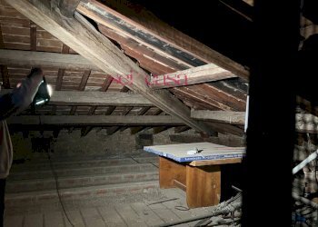 Foto 27 - Appartamento Grosseto - foto 27