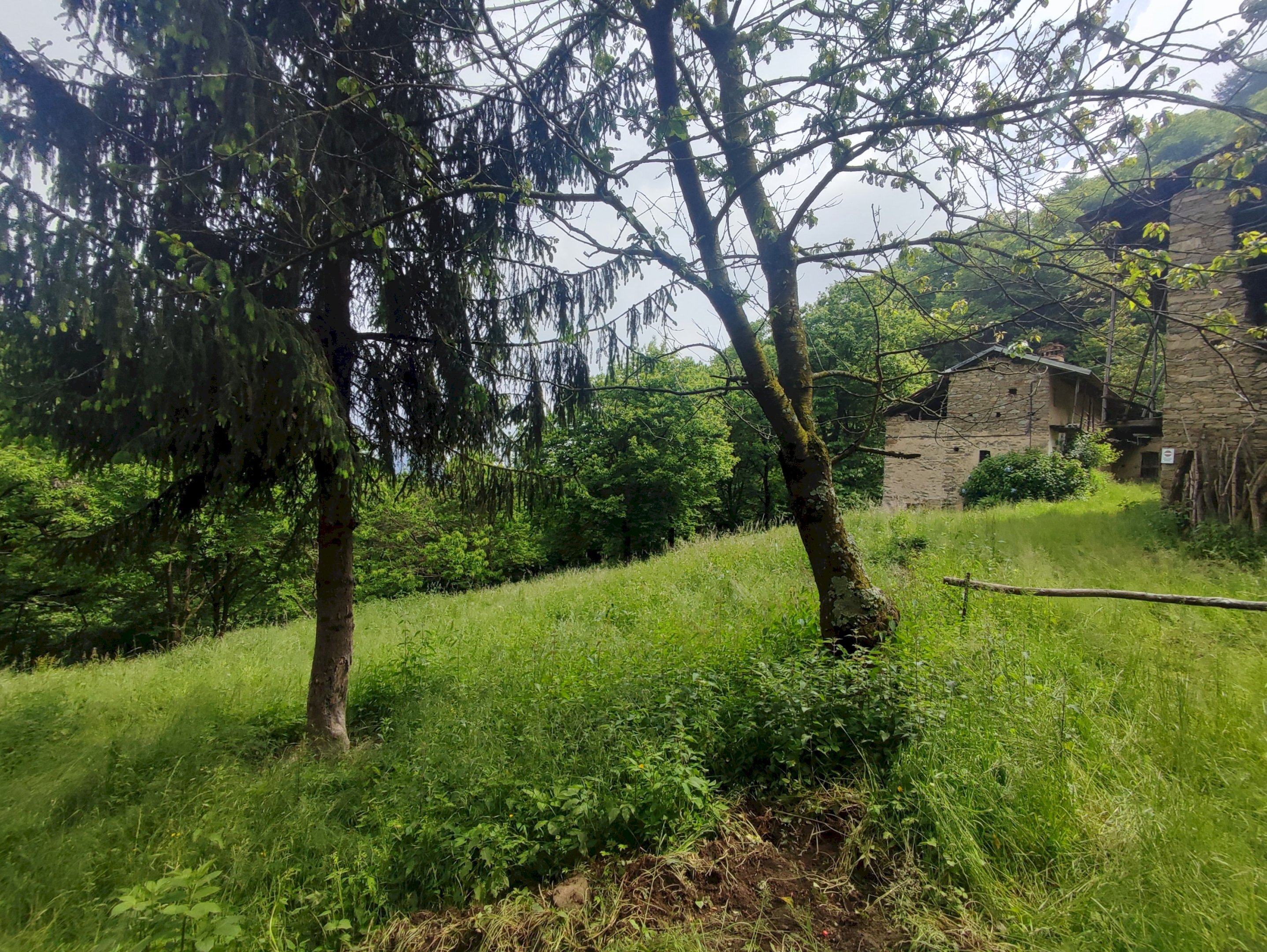 Rustic via Colletta, Brondello - photo 2