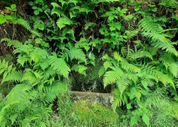 Rustic via Colletta, Brondello - photo 5