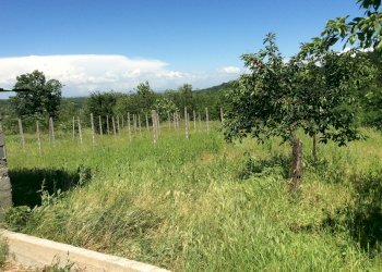 Casa indipendente regione cervino, 9, Mombaruzzo - foto 14