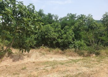 Casa indipendente regione cervino, 9, Mombaruzzo - foto 64