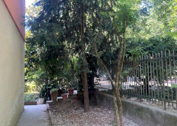 Villa Modena - foto 32