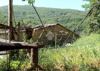 Rustic Via XXV Aprile, Ne - photo 11