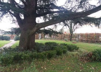 Villa Modena - foto 23