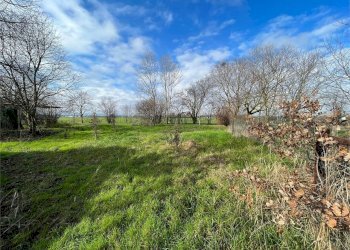 Villa a Schiera Modena - foto 15