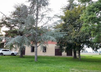 Casa indipendente Imola - foto 11