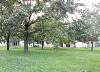 Casa indipendente Imola - foto 14