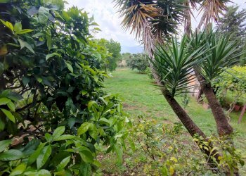 Foto 73 - Villa Via Anime Sante
 
1, Maenza - foto 73