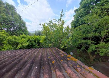 Foto 75 - Villa Via Anime Sante
 
1, Maenza - foto 75