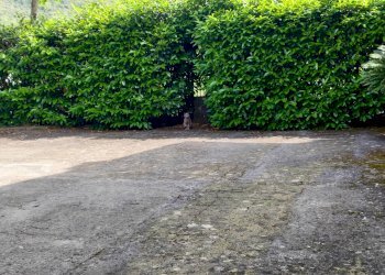 Foto 82 - Villa Via Anime Sante
 
1, Maenza - foto 82