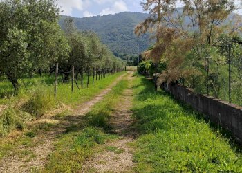 Foto 83 - Villa Via Anime Sante
 
1, Maenza - foto 83