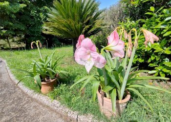 Foto 86 - Villa Via Anime Sante
 
1, Maenza - foto 86