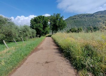 Foto 104 - Villa Via Anime Sante
 
1, Maenza - foto 104