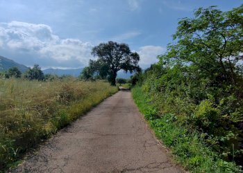 Foto 105 - Villa Via Anime Sante
 
1, Maenza - foto 105