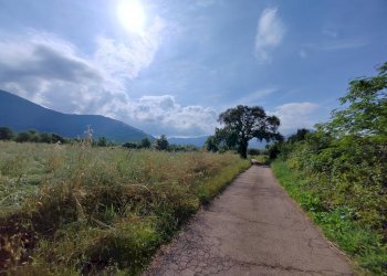 Foto 106 - Villa Via Anime Sante
 
1, Maenza - foto 106