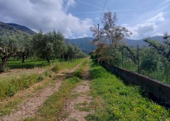 Foto 107 - Villa Via Anime Sante
 
1, Maenza - foto 107