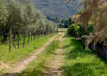 Foto 108 - Villa Via Anime Sante
 
1, Maenza - foto 108