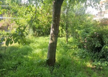 Foto 19 - Trilocale Fraz. Rocchetta, Cairo Montenotte - foto 19