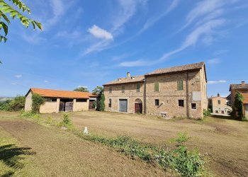 Foto 4 - Rustico Ripatransone - foto 4