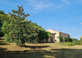 Foto 7 - Rustico Ripatransone - foto 7