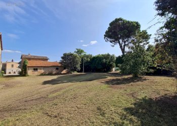 Foto 9 - Rustico Ripatransone - foto 9