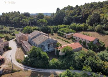 Foto 18 - Rustico Ripatransone - foto 18