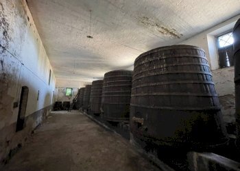 Foto 46 - Rustico Ripatransone - foto 46