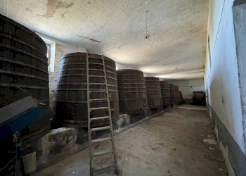 Foto 49 - Rustico Ripatransone - foto 49