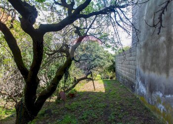 Giardino - Terreno edificabile via fornì
 
17, Piedimonte Etneo - foto 5