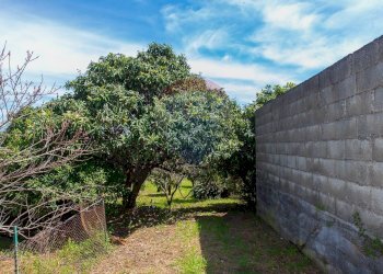 Giardino - Terreno edificabile via fornì
 
17, Piedimonte Etneo - foto 6