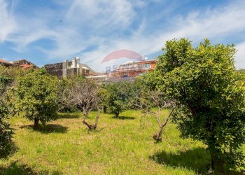 Giardino - Terreno edificabile via fornì
 
17, Piedimonte Etneo - foto 7