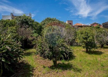 Giardino - Terreno edificabile via fornì
 
17, Piedimonte Etneo - foto 8