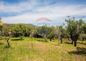 Giardino - Terreno edificabile via fornì
 
17, Piedimonte Etneo - foto 9