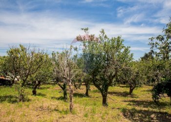 Giardino - Terreno edificabile via fornì
 
17, Piedimonte Etneo - foto 10
