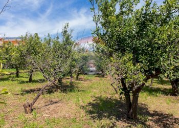 Giardino - Terreno edificabile via fornì
 
17, Piedimonte Etneo - foto 12