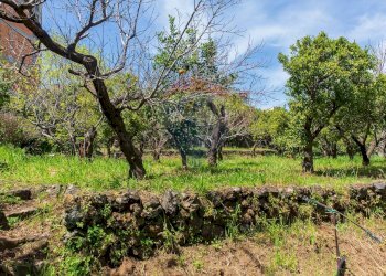 Giardino - Terreno edificabile via fornì
 
17, Piedimonte Etneo - foto 14