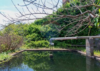 Giardino - Terreno edificabile via fornì
 
17, Piedimonte Etneo - foto 16