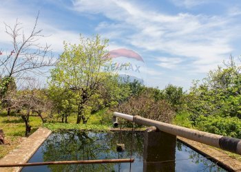 Piscina - Terreno edificabile via fornì
 
17, Piedimonte Etneo - foto 17