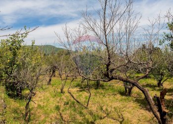 Giardino - Terreno edificabile via fornì
 
17, Piedimonte Etneo - foto 18