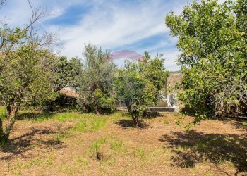 Giardino - Terreno edificabile via fornì
 
17, Piedimonte Etneo - foto 19