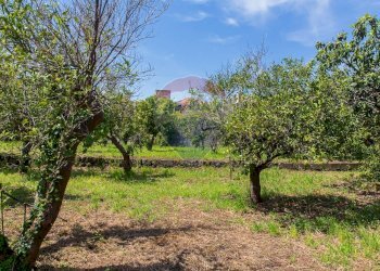Giardino - Terreno edificabile via fornì
 
17, Piedimonte Etneo - foto 20
