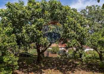 Giardino - Terreno edificabile via fornì
 
17, Piedimonte Etneo - foto 22